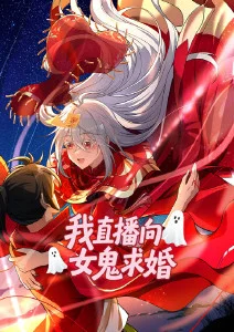 双男主小说《檐下听雪》封面